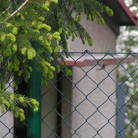 /album/ploty-pletivo/home-obr03-jpg/